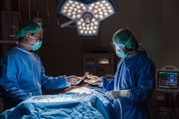 Surgery team operating in a surgical room.Doctors working operation against dark room background.