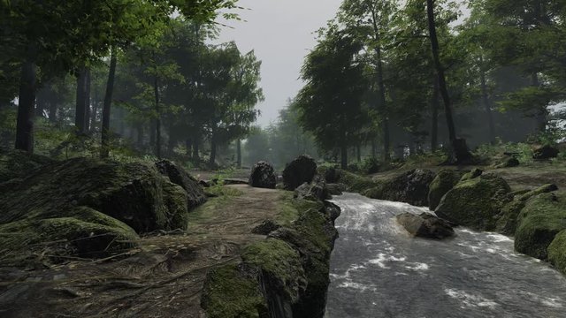 雨の日の川の小径