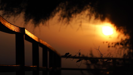 OLYMPUS DIGITAL CAMERA © martagro