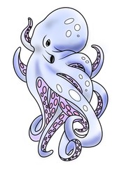 Octopus illustration 