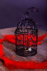 Fototapeta na wymiar Empty rusty birdcage on old rustic wooden background with red plume. The concept of Valentine Day.