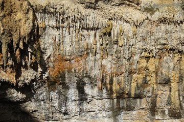 Stalactites at Loch Ard Gorge, Victoria, Great Ocean Road