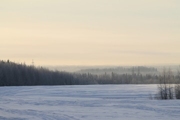 Winter nature landscape with snowy field, forest and gray sky