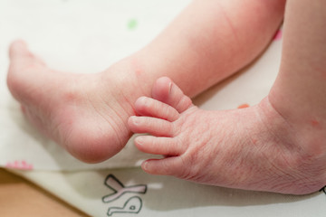 Newborn baby's feet in parents' hands