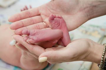 Newborn baby's feet in parents' hands