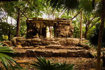 Mayan ruin in the middle of the jungle framed by trees and bushes