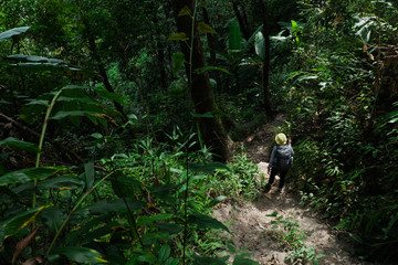 traveler woman walking with backpack trekking in forest.