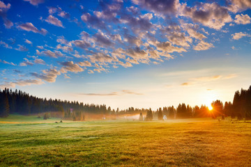 Amaizing sunrise view on Durmitor mountains, National Park, Mediterranean, village Zabljak,  Montenegro, Balkans, Europe.  Strange misty pasture in the sunlight.  Bright summer view on alpine valley.
