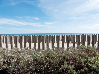 Plage avec une barrière de bois devant