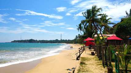 Sandy non-crowded beach with palm trees by the ocean