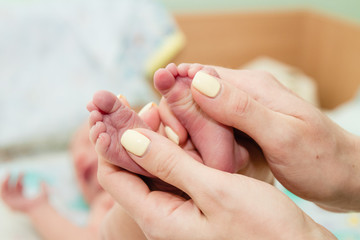 Newborn baby's feet in parents' hands