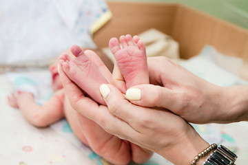 Newborn baby's feet in parents' hands