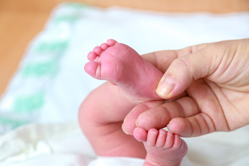 Newborn's legs are small in the hands of parents