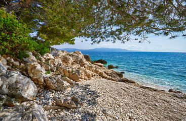 Amazing seascape of Adriatic sea. Luchica beach Croatia, Europe. Colorful summer view of small beach. Croatian coast with clear water and pine trees around. Tropical viewpoint for design postcard.