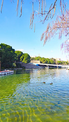 Paisaje urbano de jardines y arquitectura moderna en Sabadell, Barcelona, Catalunya, España, Europa