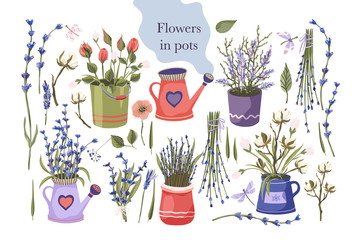 Provence floral vector set. Big flat natural flower plant bouquet collection with lavender, rose and cotton in a pot.