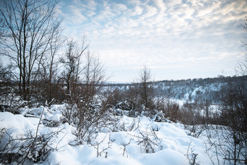 Winter park in the snow in the evening
