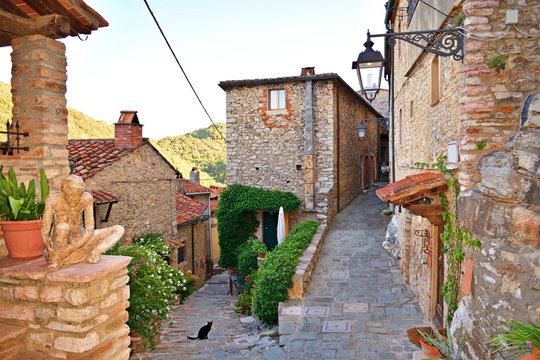 vicolo caratteristico nel borgo medievale di Sassetta, un paese italiano situato nella Val di Cornia in provincia di Livorno in Toscana