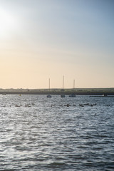 Obraz premium Tranquil morning on the lake