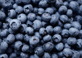blueberry, natural antioxidants, top view