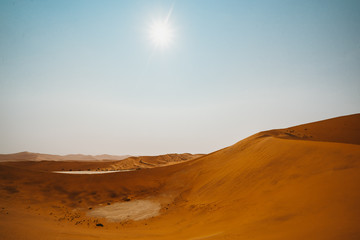 Fototapeta na wymiar mesmerising wide photo of a beautiful sand dunes at Sossusvlei in Namib Desert