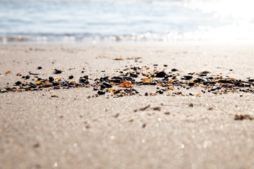 Amber stones by the sea on golden sand on a sunny day.