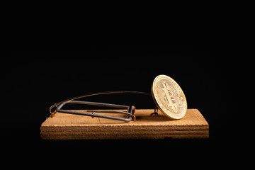 Bitcoin coin in a mousetrap isolate on a black background. Stock photo bitcoin news.