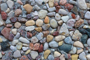 Multi-colored small stones. Stones in concrete.