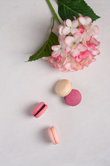 Pink and purple macarons on a withe background. Pink flower. Macaroons close up. Flat lay. Top view. 
