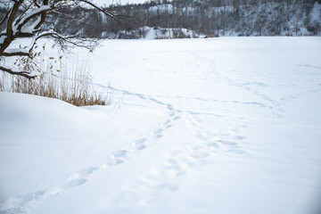 Winter park in the snow in the evening