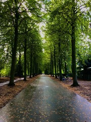 Münster, nordhein westfalen 