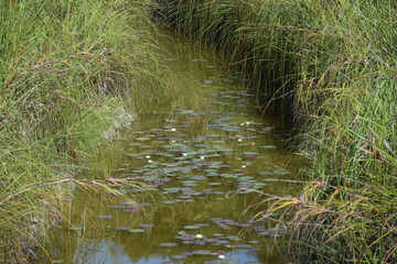 Obraz premium Mexique