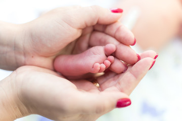 Newborn's legs are small in the hands of parents
