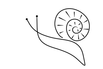 Snail on the background. Graphic illustration