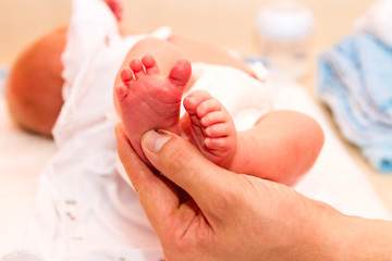 Newborn's legs are small in the hands of parents