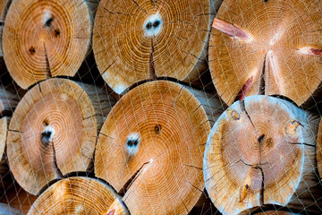 Pile of log wood