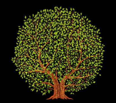 Old tree on black background vector illustration