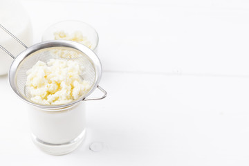 Homemade fermented beverage kefir with kefir grains in bowl on a white background, concept of natural fermented food and gut health