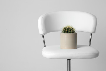 Chair with cactus isolated on white. Hemorrhoids concept