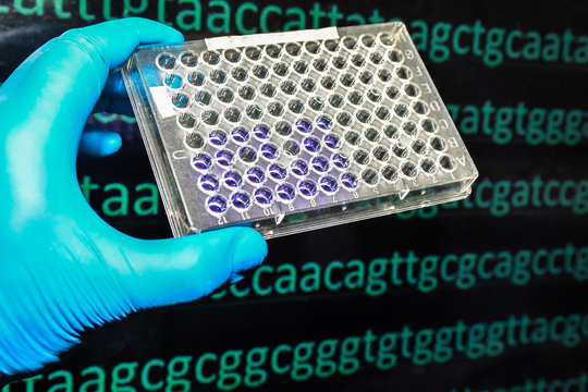 Abstract background, genetic code.