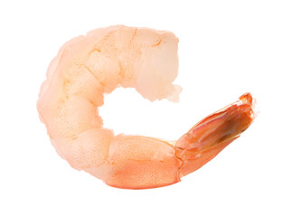 Freshly cooked delicious shrimp isolated on white