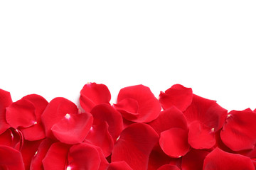 Pile of red rose petals on white background, top view