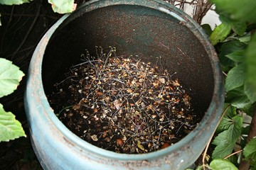 A backyard composting barrel. Eco-conscious living concept image. 