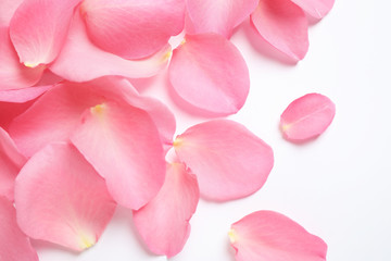 Naklejka na ściany i meble Fresh pink rose petals on white background, top view