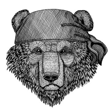 Bear. Wild animal wearing pirate bandana. Brave sailor. Hand drawn image for tattoo, emblem, badge, logo, patch