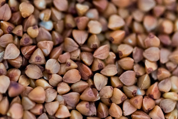 Buckwheat background. Close-up buckwheat background.
