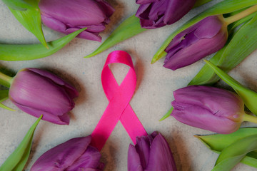 Fioletowe tulipany na szarym tle różowa wstążka © mirame111