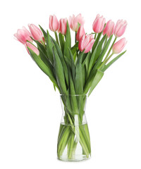 Beautiful pink spring tulips in vase isolated on white
