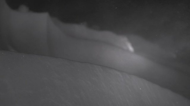 blizzard at night, falling snow on a black background. snowstorm on a cold winter night.