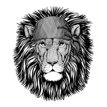 Lion. Wild animal wearing pirate bandana. Brave sailor. Hand drawn image for tattoo, emblem, badge, logo, patch